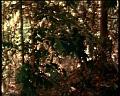 PDVD_1789