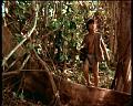 PDVD_1792