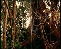 PDVD_1794
