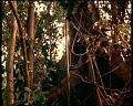 PDVD_1795
