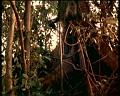 PDVD_1796