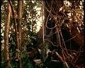 PDVD_1797