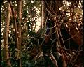 PDVD_1798