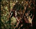 PDVD_1799