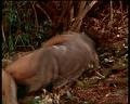 PDVD_1806
