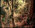 PDVD_1810