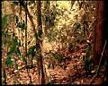 PDVD_1813