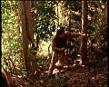 PDVD_1814