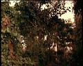 PDVD_1827