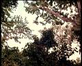 PDVD_1828