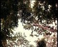 PDVD_1829