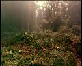 PDVD_1847