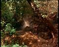PDVD_1848