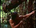 PDVD_1901