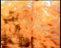 PDVD_1904