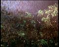 PDVD_1968