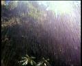 PDVD_1973