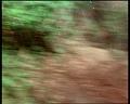 PDVD_1976