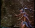 PDVD_1978