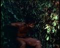 PDVD_1984