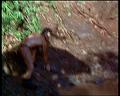 PDVD_1985