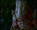 PDVD_1991