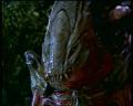 PDVD_1992