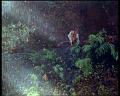 PDVD_1995