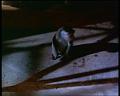 PDVD_824