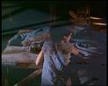 PDVD_829