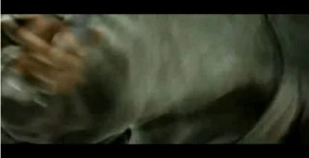 PDVD_1097.jpg