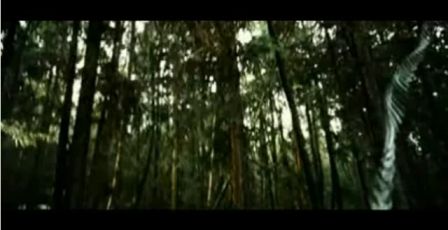 PDVD_1106.jpg