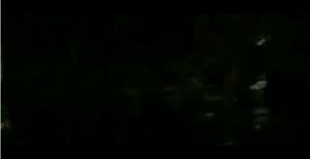 PDVD_1116.jpg