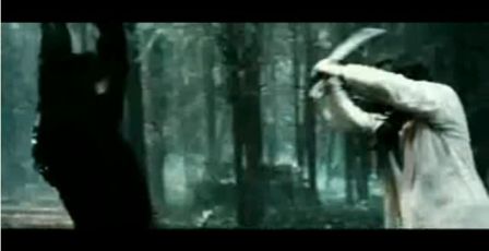 PDVD_1157.jpg