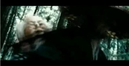 PDVD_1175.jpg