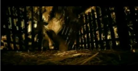PDVD_1476.jpg