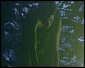 PDVD_1235