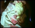 PDVD_1259