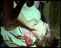 PDVD_1264