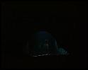 PDVD_244