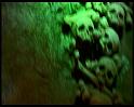 PDVD_293