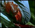 PDVD_982