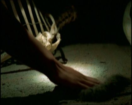 PDVD_1052.jpg
