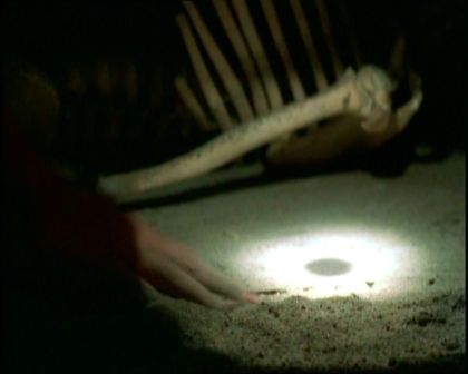 PDVD_1056.jpg