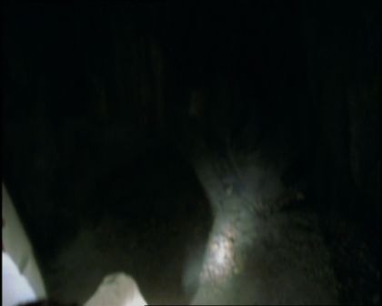 PDVD_1074.jpg