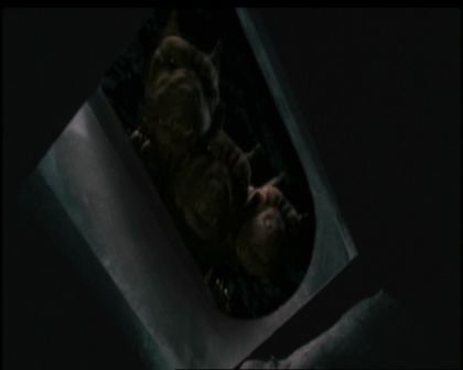 PDVD_1087.jpg