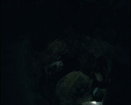 PDVD_1294.jpg