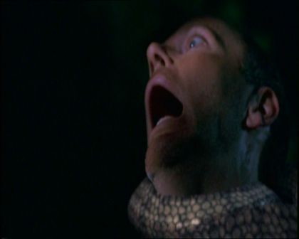 PDVD_1563.jpg