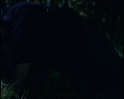 PDVD_1568.jpg