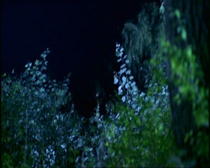 PDVD_1569.jpg